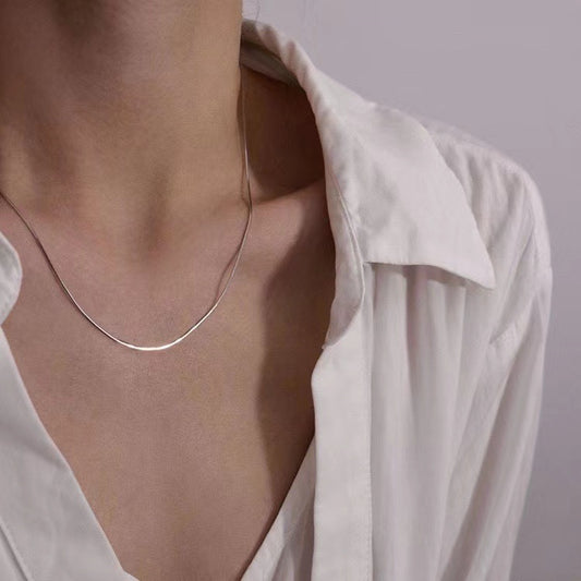 Snake bone chain European and American ins wind fine fashion stainless steel necklace pendant with chain simple men's and women's collarbone chain